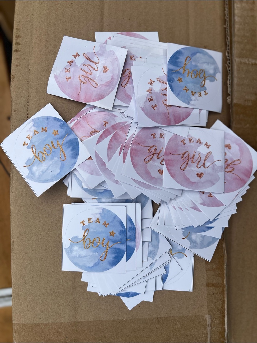 Gender Reveal Stickers & Cupcake Sticks Team Boy & Team Girl